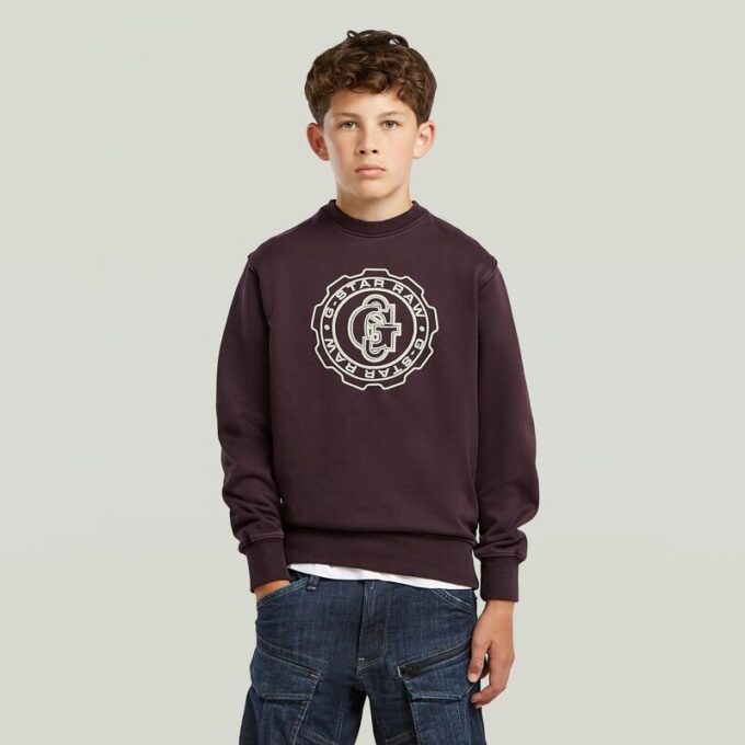 Boys ALD Crew Sweater