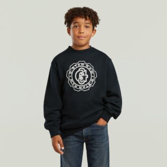 Boys ALD Crew Sweater