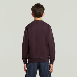 Boys ALD Crew Sweater