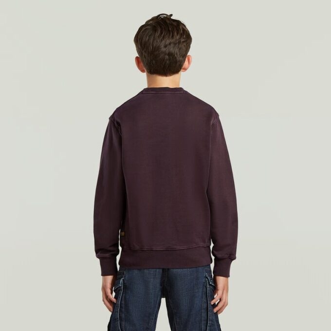Boys ALD Crew Sweater