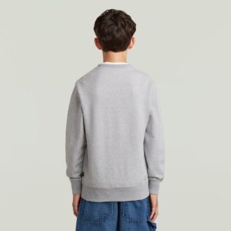 Boys ALD Crew Sweater