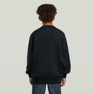 Boys ALD Crew Sweater