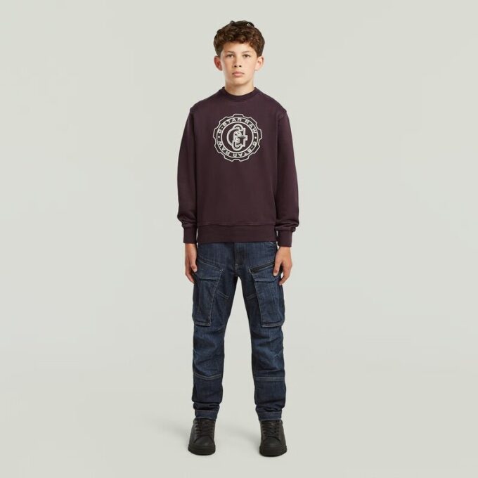 Boys ALD Crew Sweater