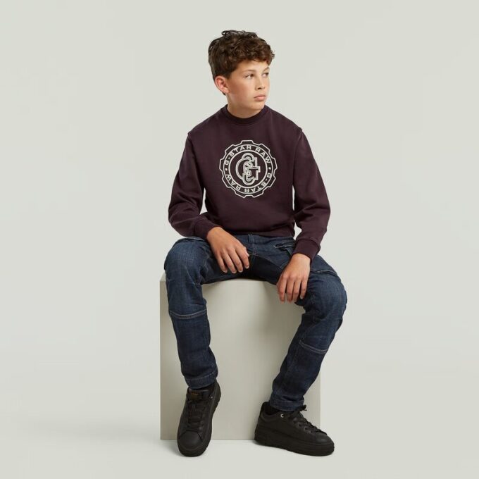 Boys ALD Crew Sweater