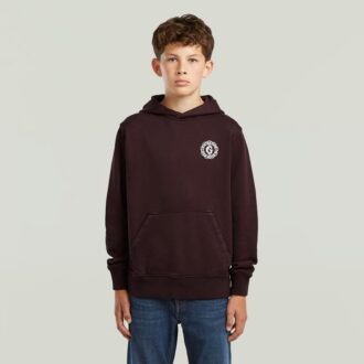 Boys Bren Hooded Sweater