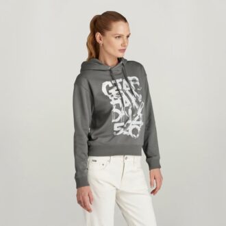 Graphic 3 Hooded Sweater